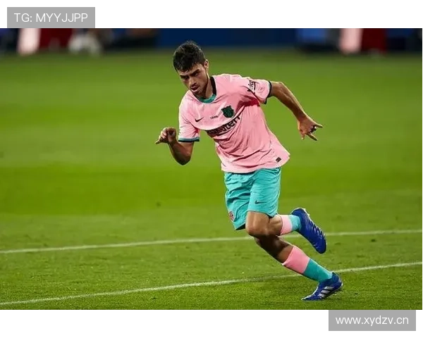 佩德里上限是否被夸大 成长潜力与发展空间分析 佩德里上限是否被夸大 成长潜力与发展空间分析