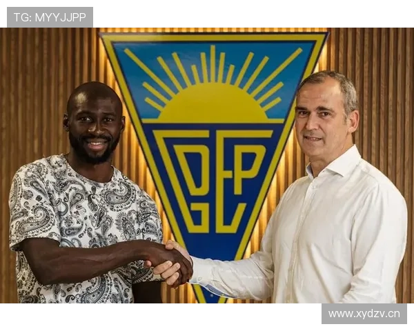 弗拉霍维奇生涯数据与团队成绩评估