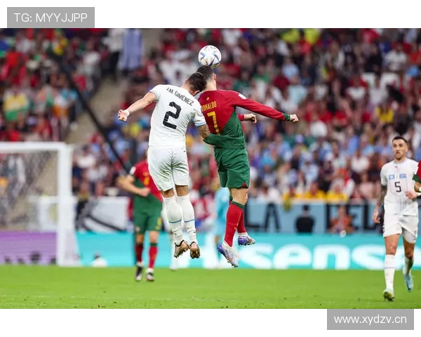 效率与观感反差：莱奥到底强在哪里