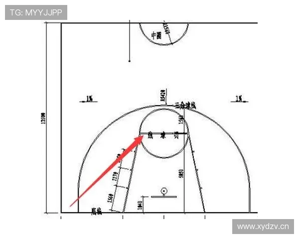 快速弄懂补篮规则，详解NBA和FIBA的不同标准
